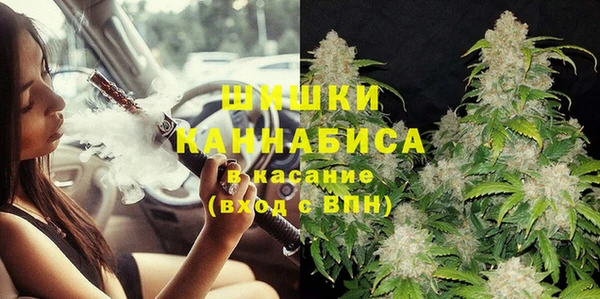 соль ск Богданович