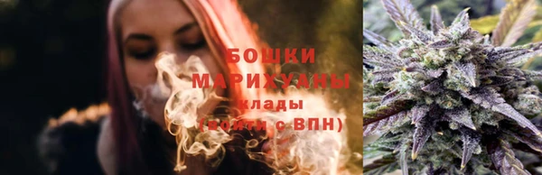 соль ск Богданович