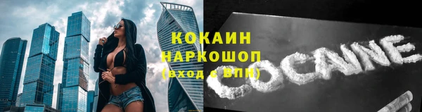 спиды Богородск
