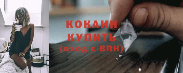 ALPHA PVP Богородицк