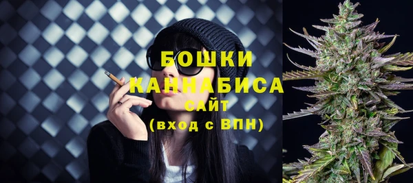 спиды Богородск