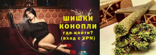 спиды Богородск
