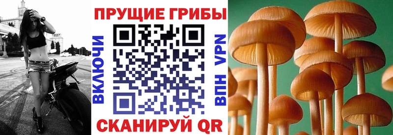 Галлюциногенные грибы прущие грибы  Реж 